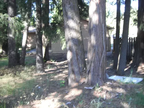 37396 Oakview St, Burney, CA 96013 photo 34