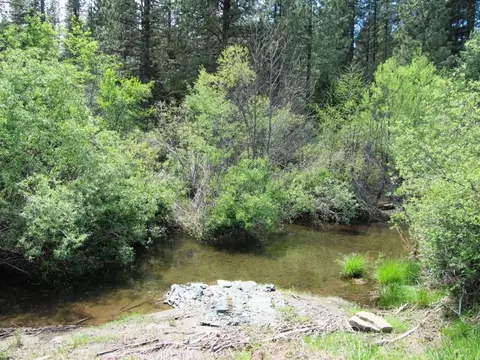 1060 Thirteen Dips Rd, Hayfork, CA 96041 photo 11