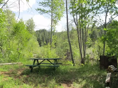 1060 Thirteen Dips Rd, Hayfork, CA 96041 photo 9