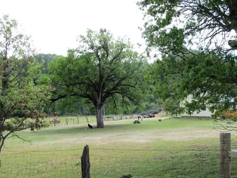 1060 Thirteen Dips Rd, Hayfork, CA 96041 photo 7