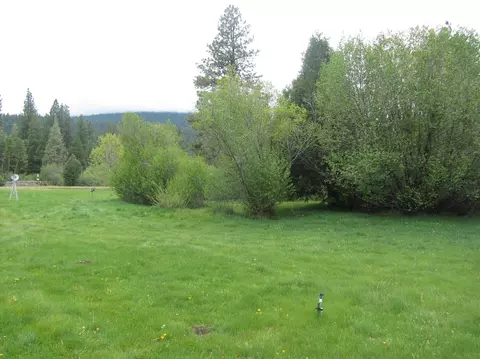 41964 Wilcox Rd, Hat Creek, CA 96040 photo 17