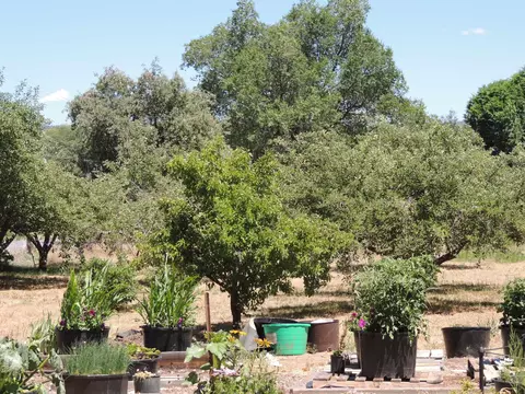 18690 Doty Rd, Hat Creek, CA 96040 photo 15