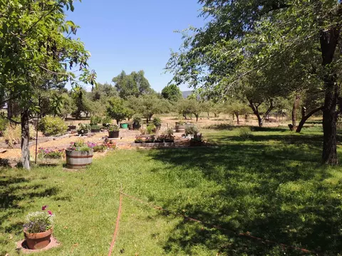 18690 Doty Rd, Hat Creek, CA 96040 photo 13
