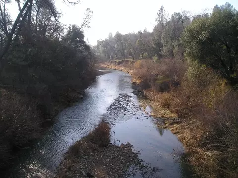 9241 Omega Ln, Redding, CA 96002 photo 23