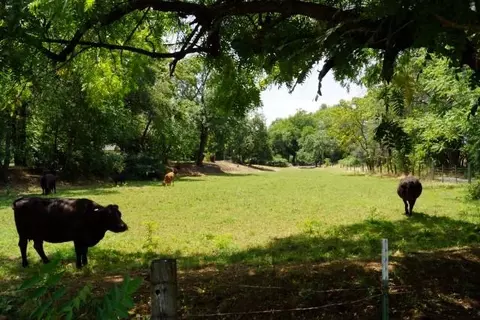 19033 W Niles Ln, Redding, CA 96002 photo 8