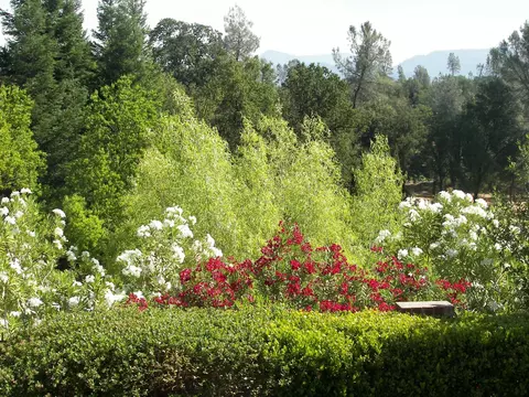 1685 St Andrews Dr, Redding, CA 96003 photo 5