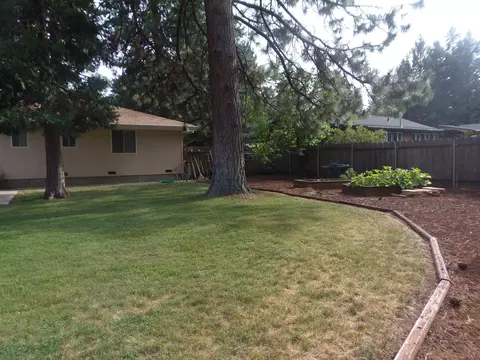 37080 Park Ave, Burney, CA 96013 photo 17