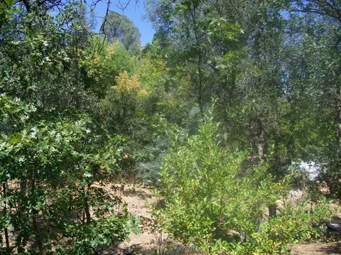 15889 Cindee Ln, Redding, CA 96001 photo 52