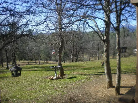 17329 Pittim Dr, Redding, CA 96003 photo 6