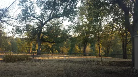 4509 White Riv, Redding, CA 96003 photo 3