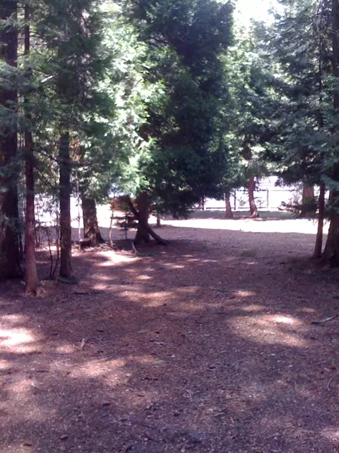 35296 Bethany, Shingletown, CA 96088 photo 19