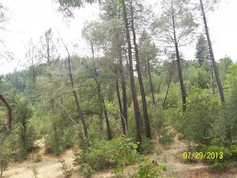 15570 Brook Dr, Shasta, CA 96087 photo 7
