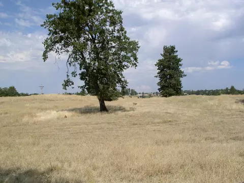 12318 Fern Rd, Whitmore, CA 96096 photo 34