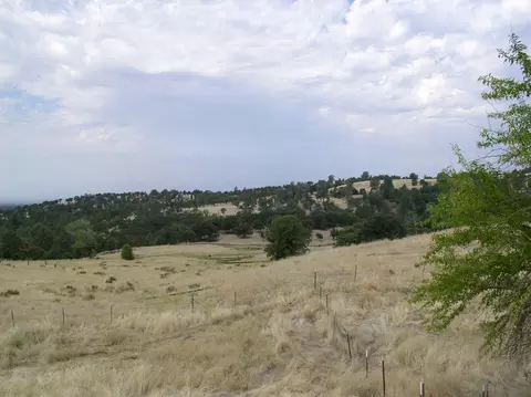 12318 Fern Rd, Whitmore, CA 96096 photo 15