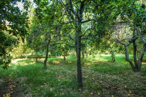 7264 Churn Creek Rd, Redding, CA 96002 photo 26