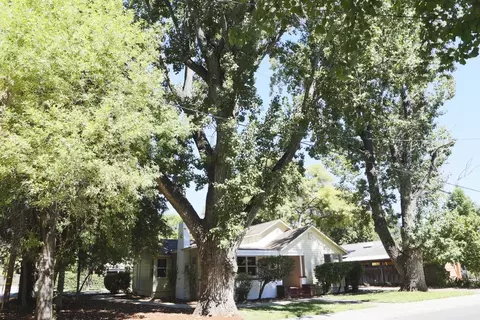 362 Weldon, Redding, CA 96001 photo 11