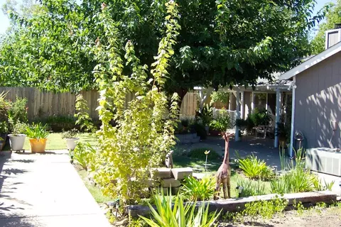 739 Lotus Ct, Redding, CA 96003 photo 9