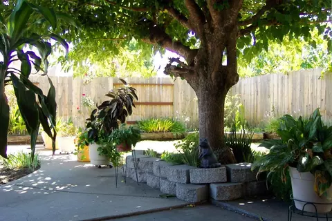 739 Lotus Ct, Redding, CA 96003 photo 6