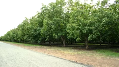 12270 Craig Ave, Red Bluff, CA 96080 photo 25