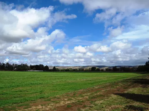 12270 Craig Ave, Red Bluff, CA 96080 photo 26