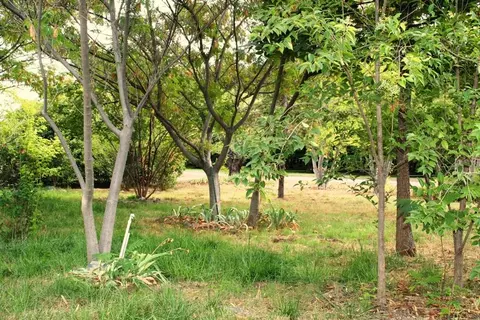 12270 Craig Ave, Red Bluff, CA 96080 photo 23