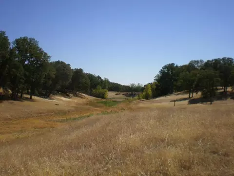 14810 Peppertree Ln, Red Bluff, CA 96080 photo 16