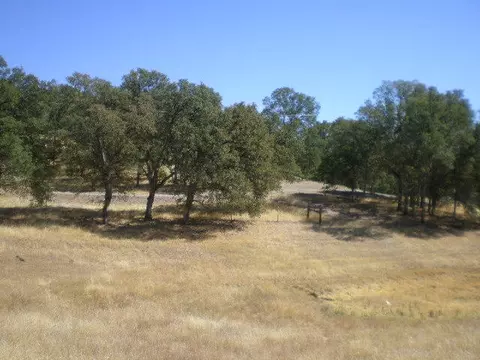 14810 Peppertree Ln, Red Bluff, CA 96080 photo 15
