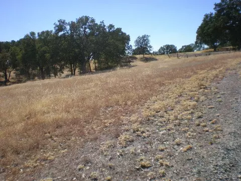 14810 Peppertree Ln, Red Bluff, CA 96080 photo 17
