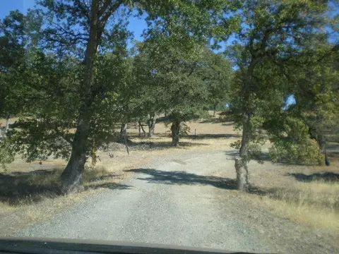 14810 Peppertree Ln, Red Bluff, CA 96080 photo 18