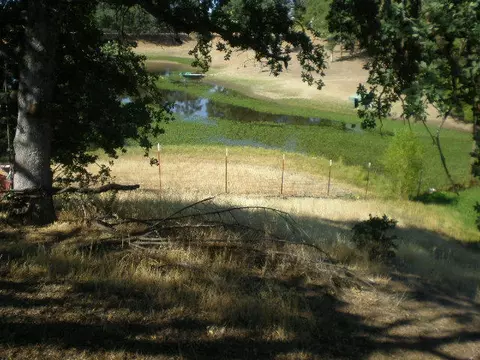 14810 Peppertree Ln, Red Bluff, CA 96080 photo 2