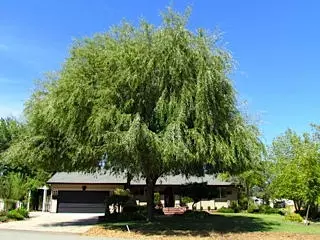 19486 Hollow Ln, Redding, CA 96003 photo 1