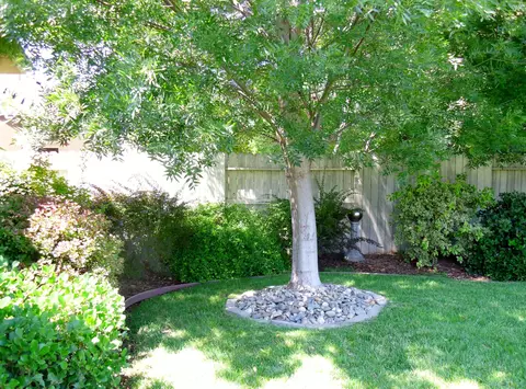 3070 Madison River Dr, Redding, CA 96002 photo 34