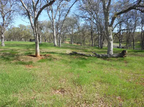 14660 Molluc Dr, Red Bluff, CA 96080 photo 8