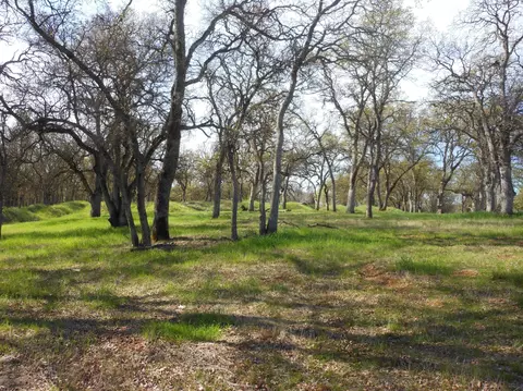 14660 Molluc Dr, Red Bluff, CA 96080 photo 6