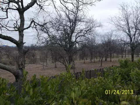 1006 Lema Rd, Redding, CA 96003 photo 3