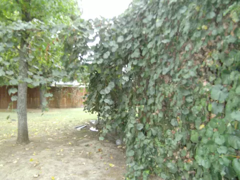 2158 Park Marina Dr, Redding, CA 96001 photo 14