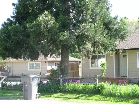 3346 Stingy Ln, Anderson, CA 96007 photo 1