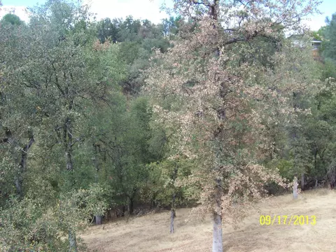 3346 Stanford Dr, Redding, CA 96003 photo 8