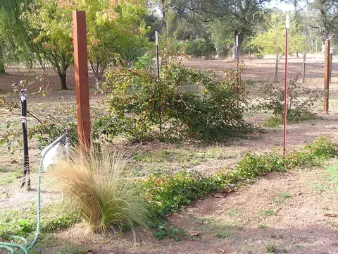 21748 Old Alturas Rd, Redding, CA 96003 photo 18