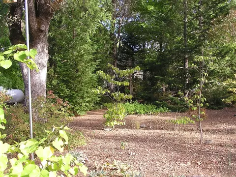 21748 Old Alturas Rd, Redding, CA 96003 photo 20