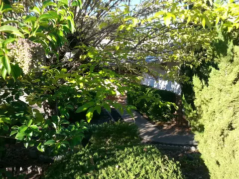1550 Pleasant St, Redding, CA 96001 photo 2