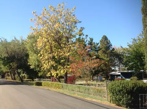 19326 Niles Ln, Redding, CA 96002 photo 4