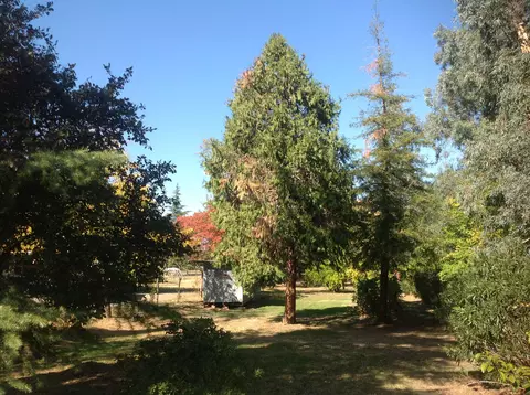 19326 Niles Ln, Redding, CA 96002 photo 50