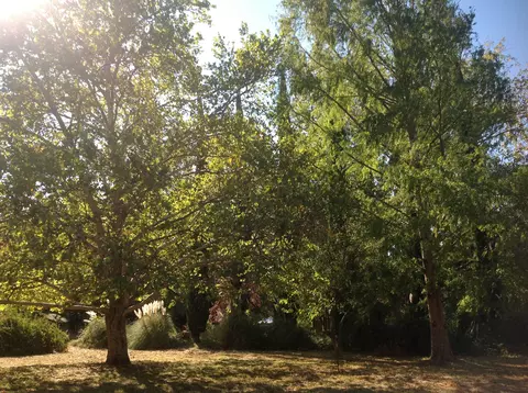 19326 Niles Ln, Redding, CA 96002 photo 35