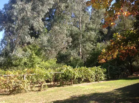 19326 Niles Ln, Redding, CA 96002 photo 29