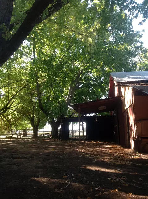 19326 Niles Ln, Redding, CA 96002 photo 53