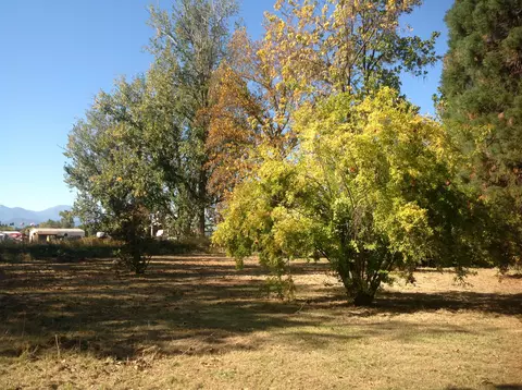 19326 Niles Ln, Redding, CA 96002 photo 43
