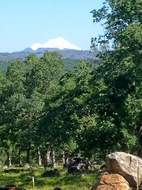 12608 Oak Run Rd, Oak Run, CA 96069 photo 11