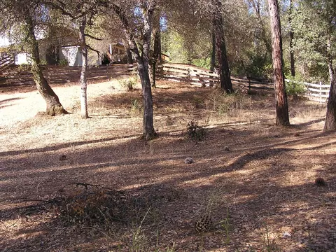 12901 Beltline Rd, Redding, CA 96003 photo 21