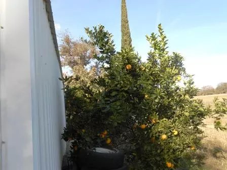 23420 Gyle Rd, Gerber, CA 96035 photo 56